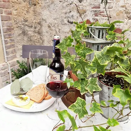 -coeur Historique -my Little Garden - Parking Gratuit 500m -la Clef De Apartament