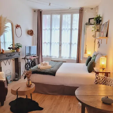 -coeur Historique -my Little Garden - Parking Gratuit 500m -la Clef De Apartament *