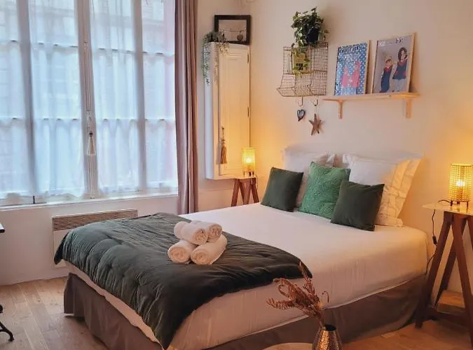 Daire -coeur Historique -my Little Garden - Parking Gratuit 500m -la Clef De