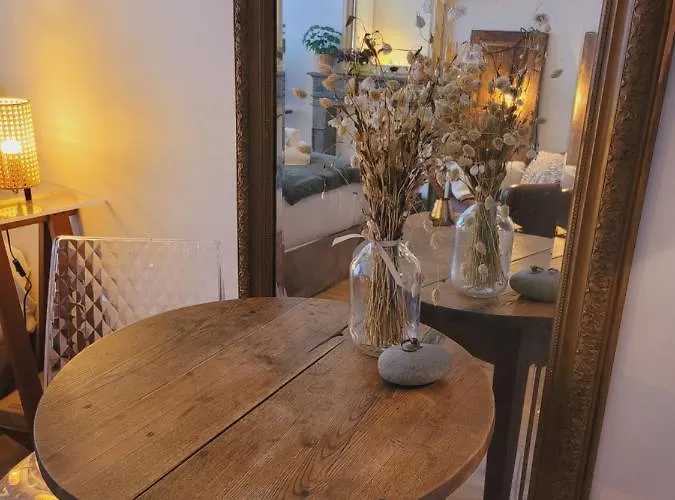 Daire -coeur Historique -my Little Garden - Parking Gratuit 500m -la Clef De