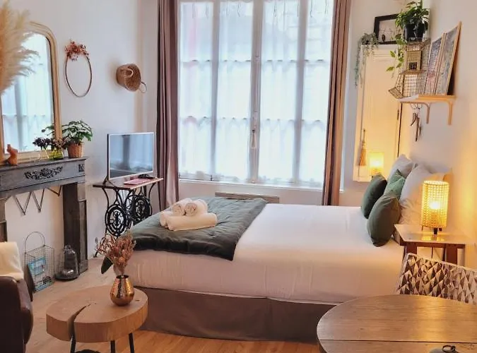 -coeur Historique -my Little Garden - Parking Gratuit 500m -la Clef De Daire *