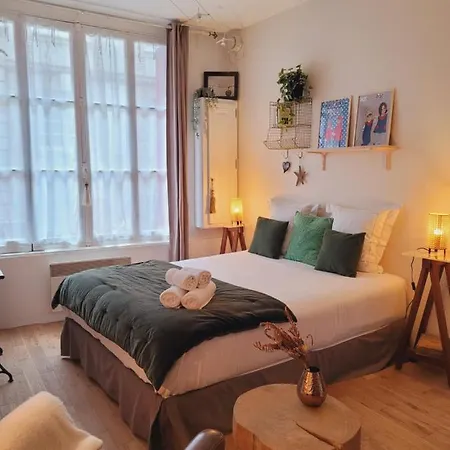 Apartament My Little Garden -parking Gratuit 500m -coeur Historique -la Clef De