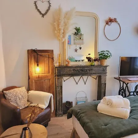Apartman -coeur Historique -my Little Garden - Parking Gratuit 500m -la Clef De *