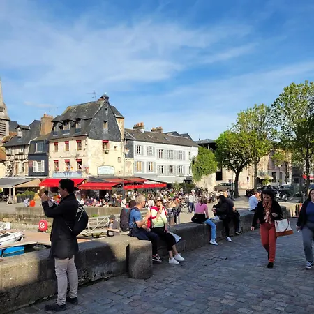 Apartament My Little Garden -parking Gratuit 500m -coeur Historique -la Clef De Honfleur