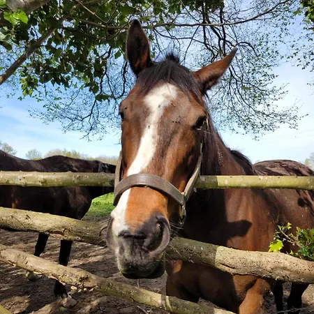 -coeur Historique -my Little Garden - Parking Gratuit 500m -la Clef De Honfleur