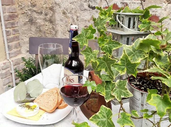 -coeur Historique -my Little Garden - Parking Gratuit 500m -la Clef De Apartment