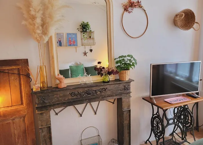 Apartment -coeur Historique -my Little Garden - Parking Gratuit 500m -la Clef De