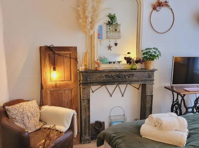 Apartment -coeur Historique -my Little Garden - Parking Gratuit 500m -la Clef De *