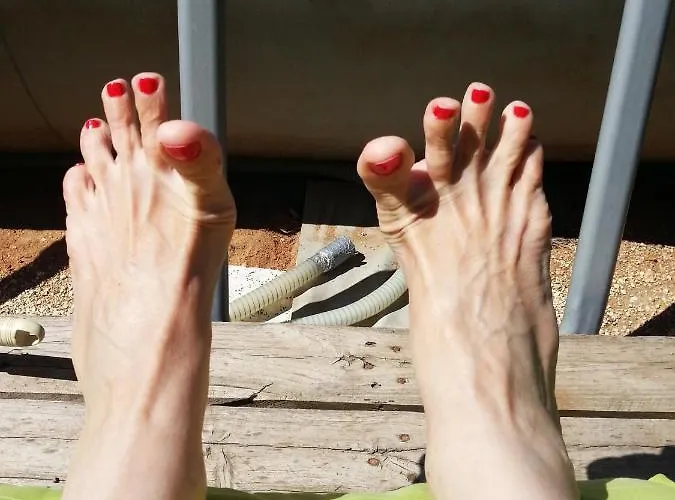 Apartment -coeur Historique -my Little Garden - Parking Gratuit 500m -la Clef De